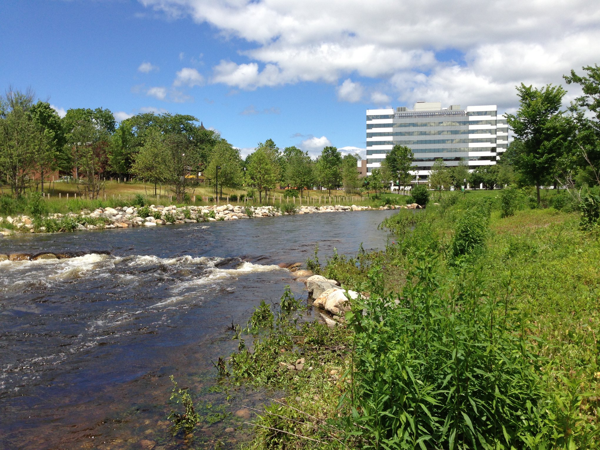 Mill River Park & Greenway Visit CT